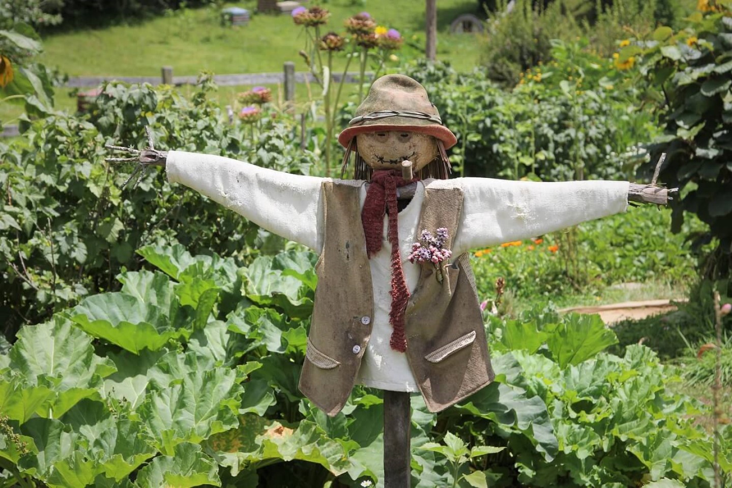 hobbiton scarecrow